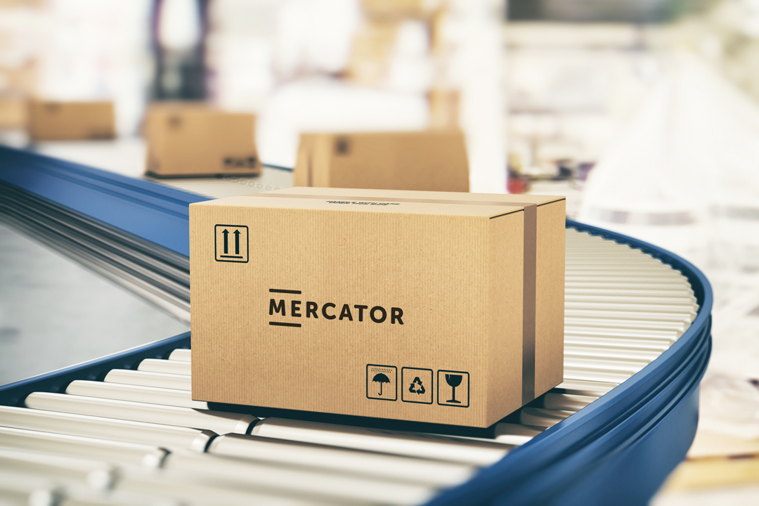 A Mercator Medical Csoport összetétele